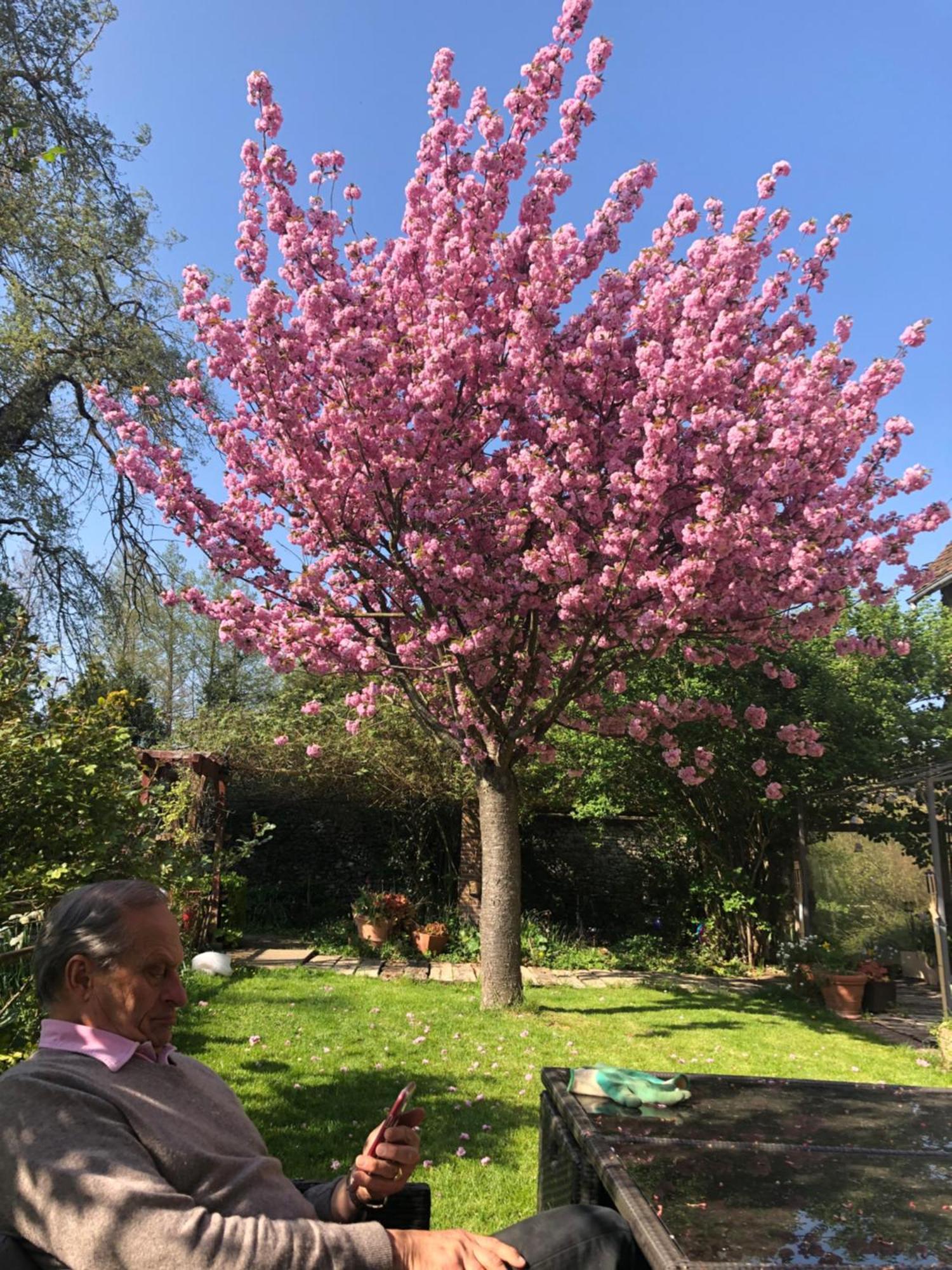 Le Moulin De Dannemarie Villa Dannemarie  Bagian luar foto